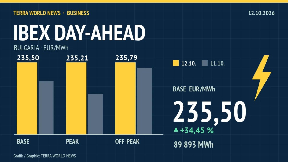 Graphic: electricity prices on the IBEX exchange, 12.10.2026 (own graphic)