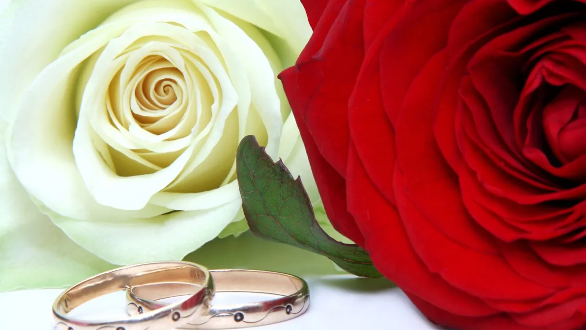 Symbolbild: Eheringe und Rosen