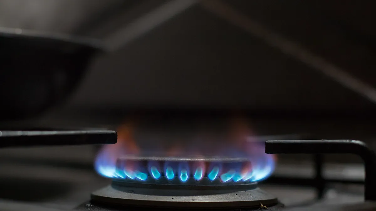 Символна снимка: пламък на газов котлон