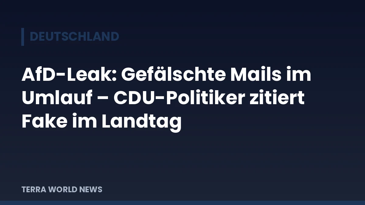Графика: Изтичането от АзГ (AfD): фалшиви имейли в мрежата – депутат от ХДС цитира фалшификат