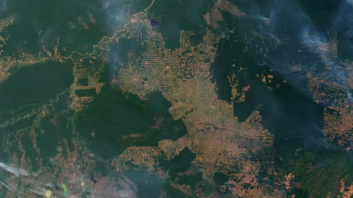 Symbolbild: Satellitenbild von Rodungsflächen und Rauch im Amazonasgebiet, Rondônia, Brasilien