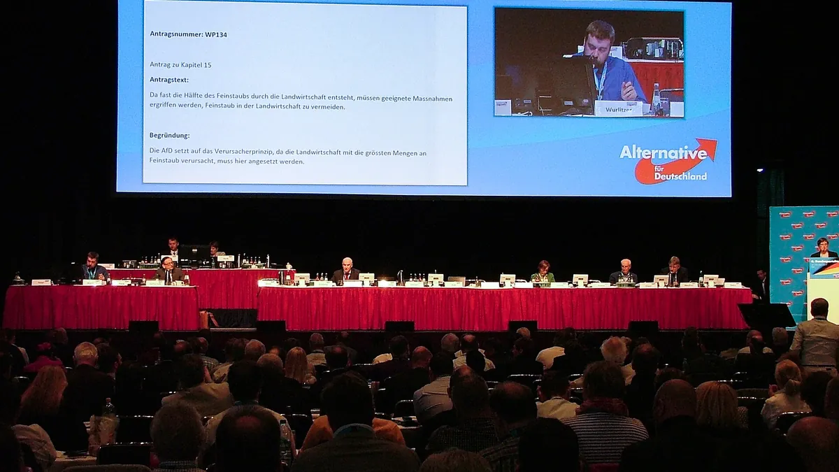 Archivbild: Bundesparteitag der AfD in Köln, April 2017